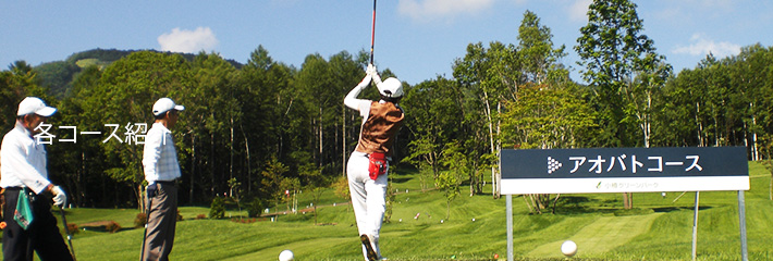 コースレイアウト